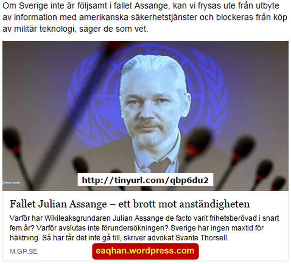 Julian Assange - kriminell juridik