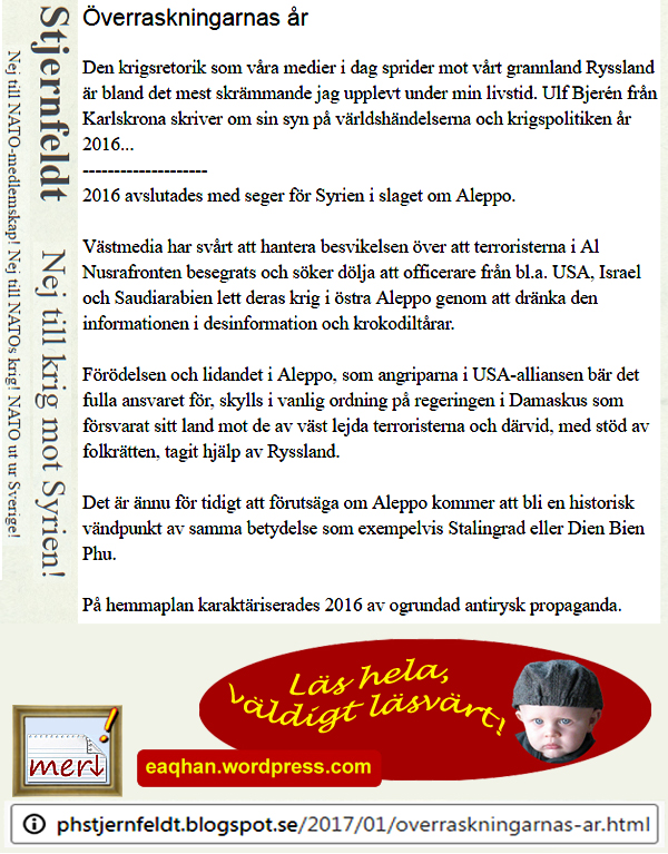 Överaskningarnas år - Stjärnfeldt.jpg